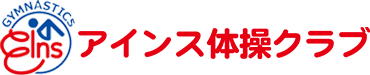 株式会社アインス