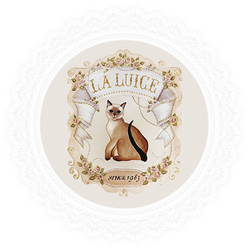 株式会社るいす