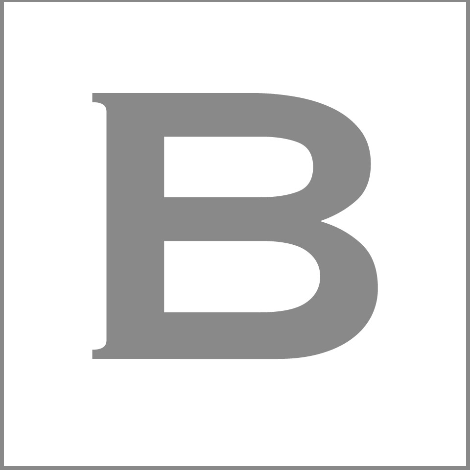 株式会社ビーダッシュスタジオ