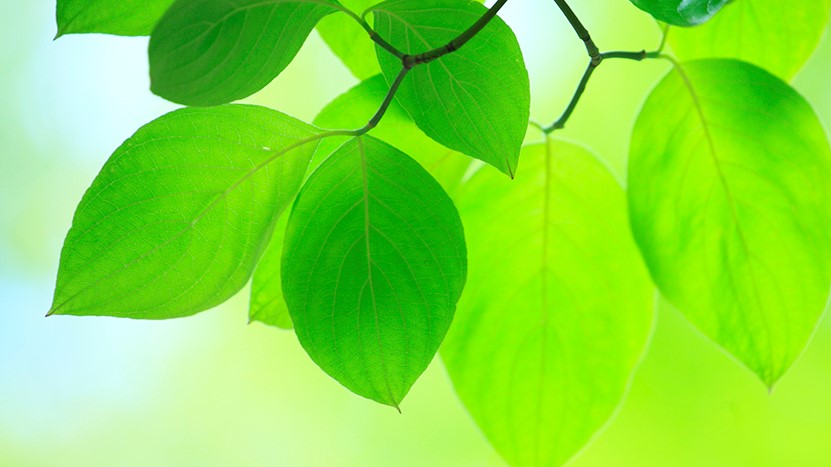 株式会社リックス