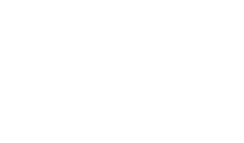 株式会社ＩＤＭ