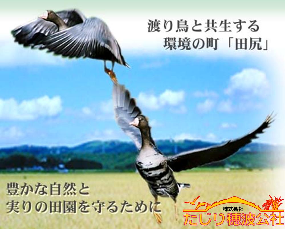 株式会社たじり穂波公社