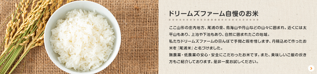 有限会社ドリームズファーム