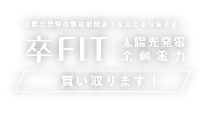 株式会社トドック電力