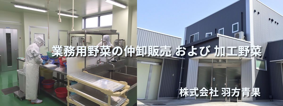 株式会社羽方青果