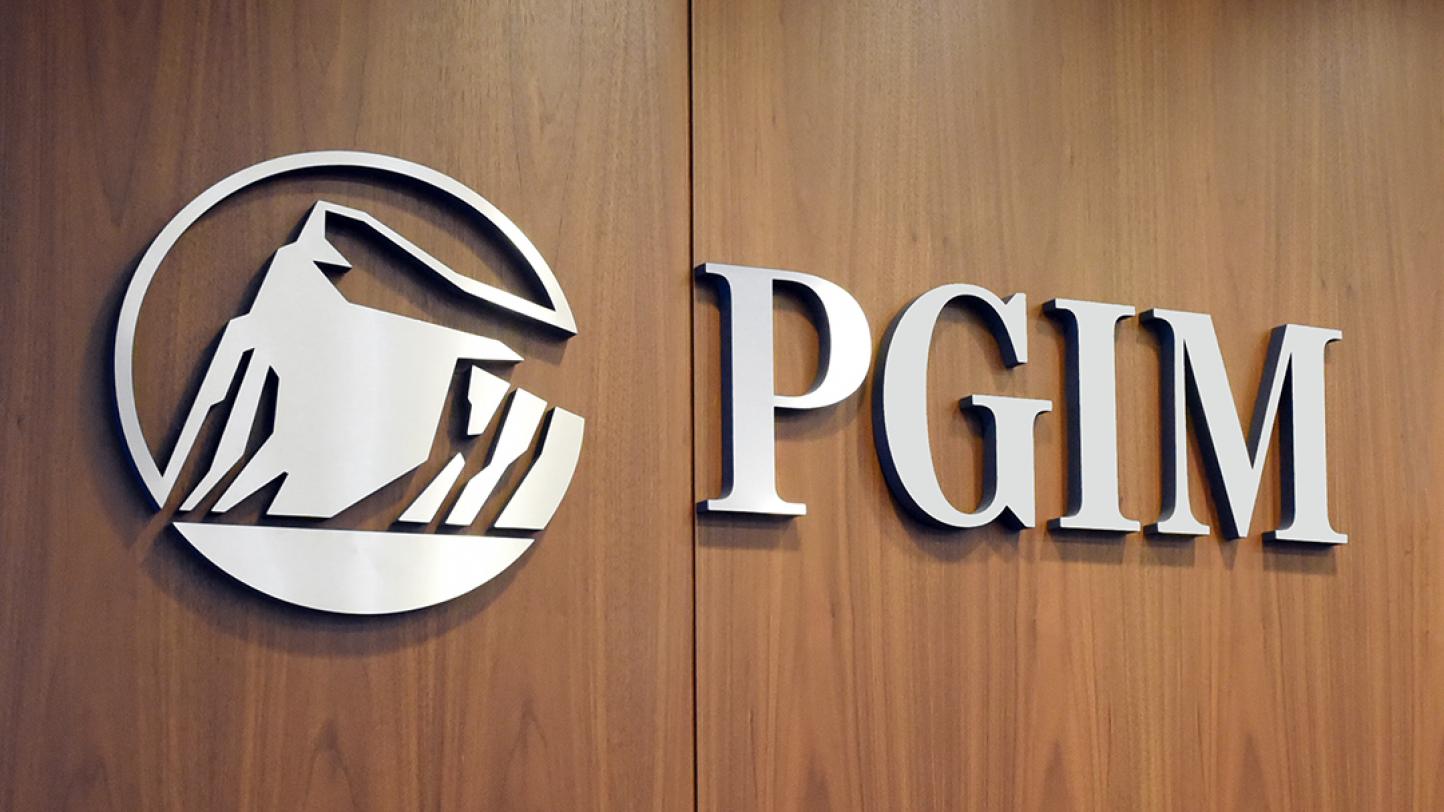 ＰＧＩＭジャパン株式会社