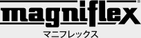 株式会社フラグスポート