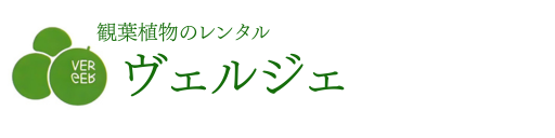 有限会社ヴェルジェ