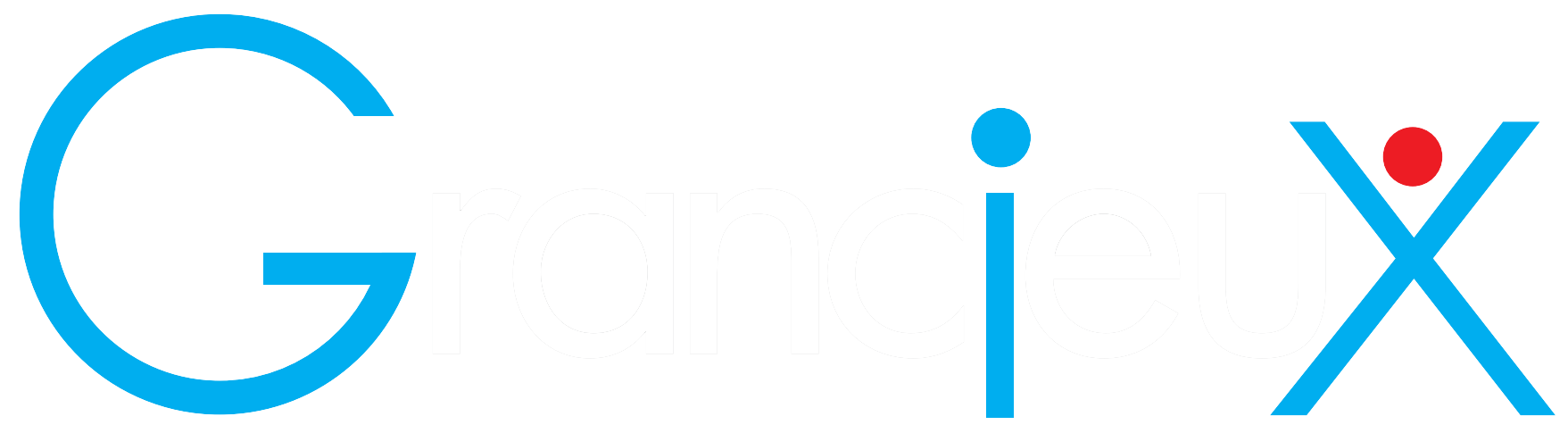 グランシャス株式会社