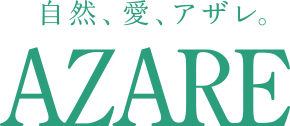 株式会社アザレインターナショナル