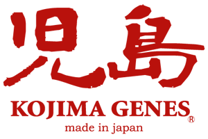 株式会社フック