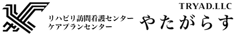 ＴＲＹＡＤ合同会社