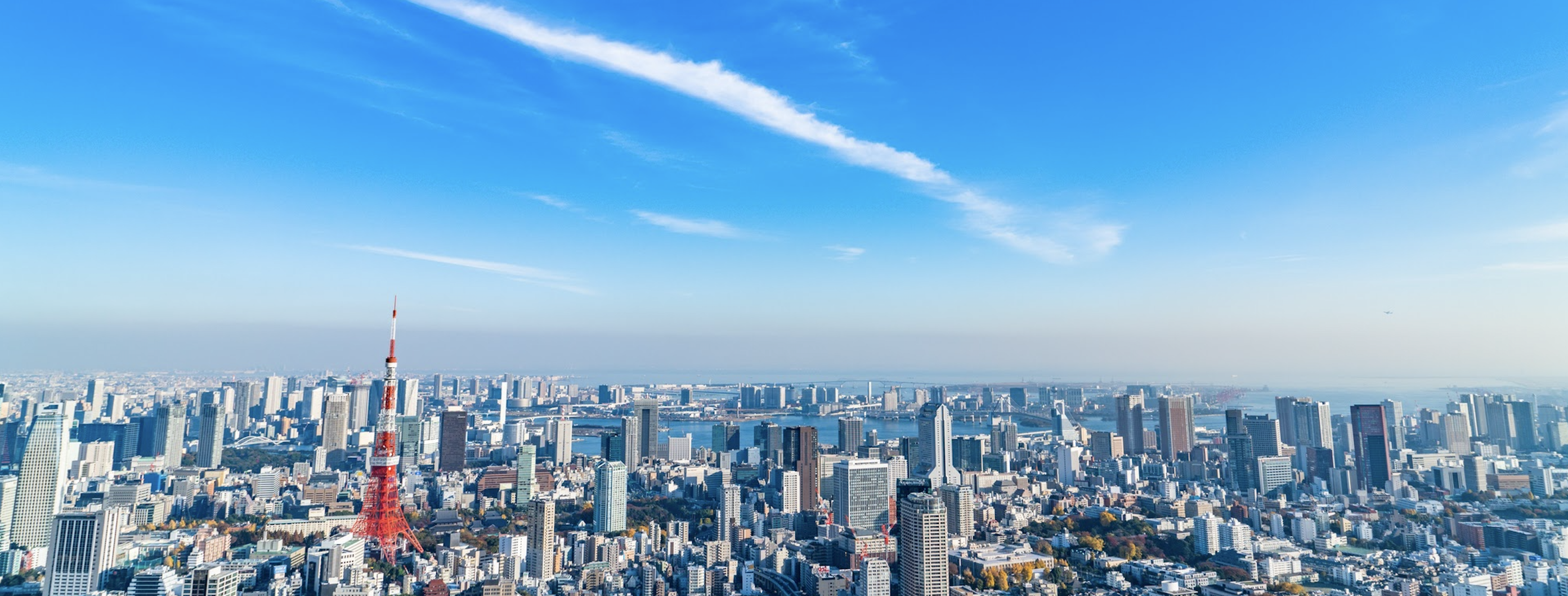 ケービーエフ株式会社