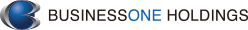 ビジネス・ワンホールディングス株式会社