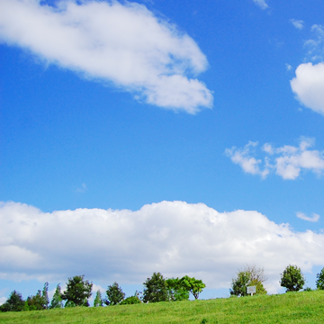 株式会社ファイン