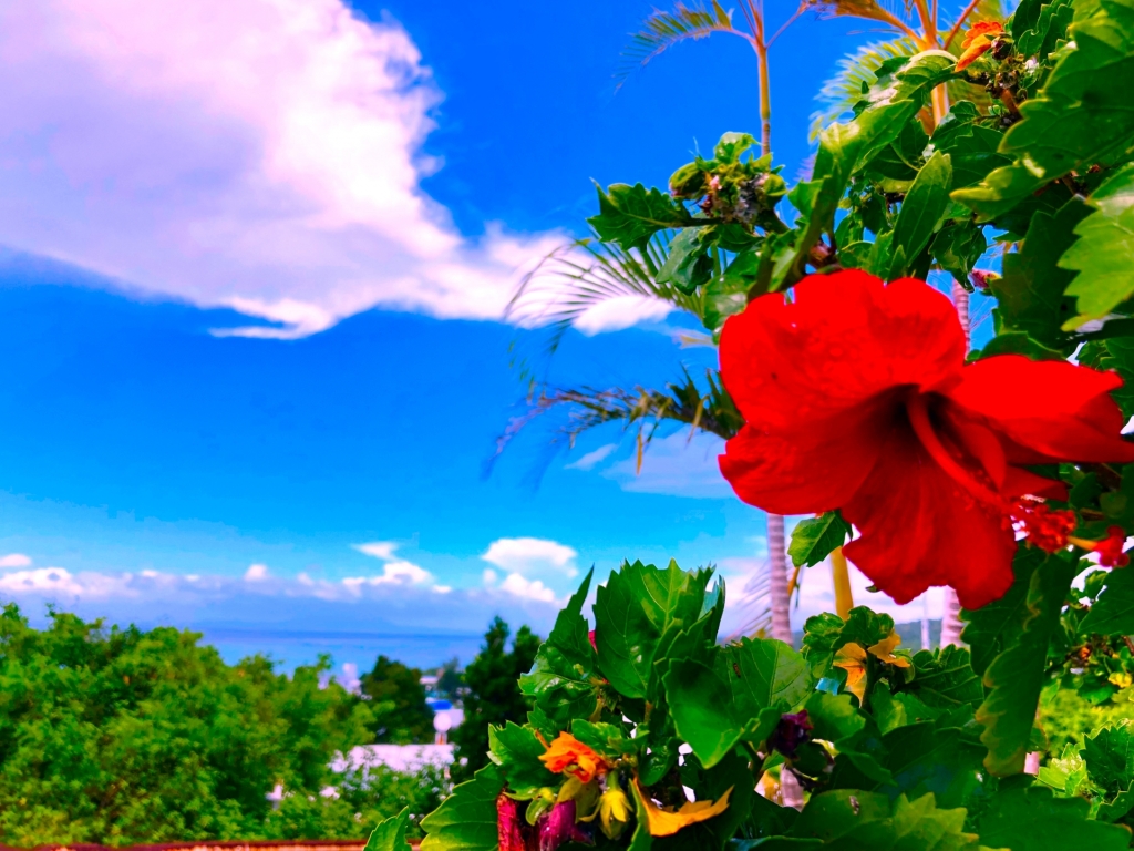 株式会社エンジョイＯＫＩＮＡＷＡ