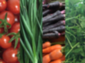 ミドリ株式会社