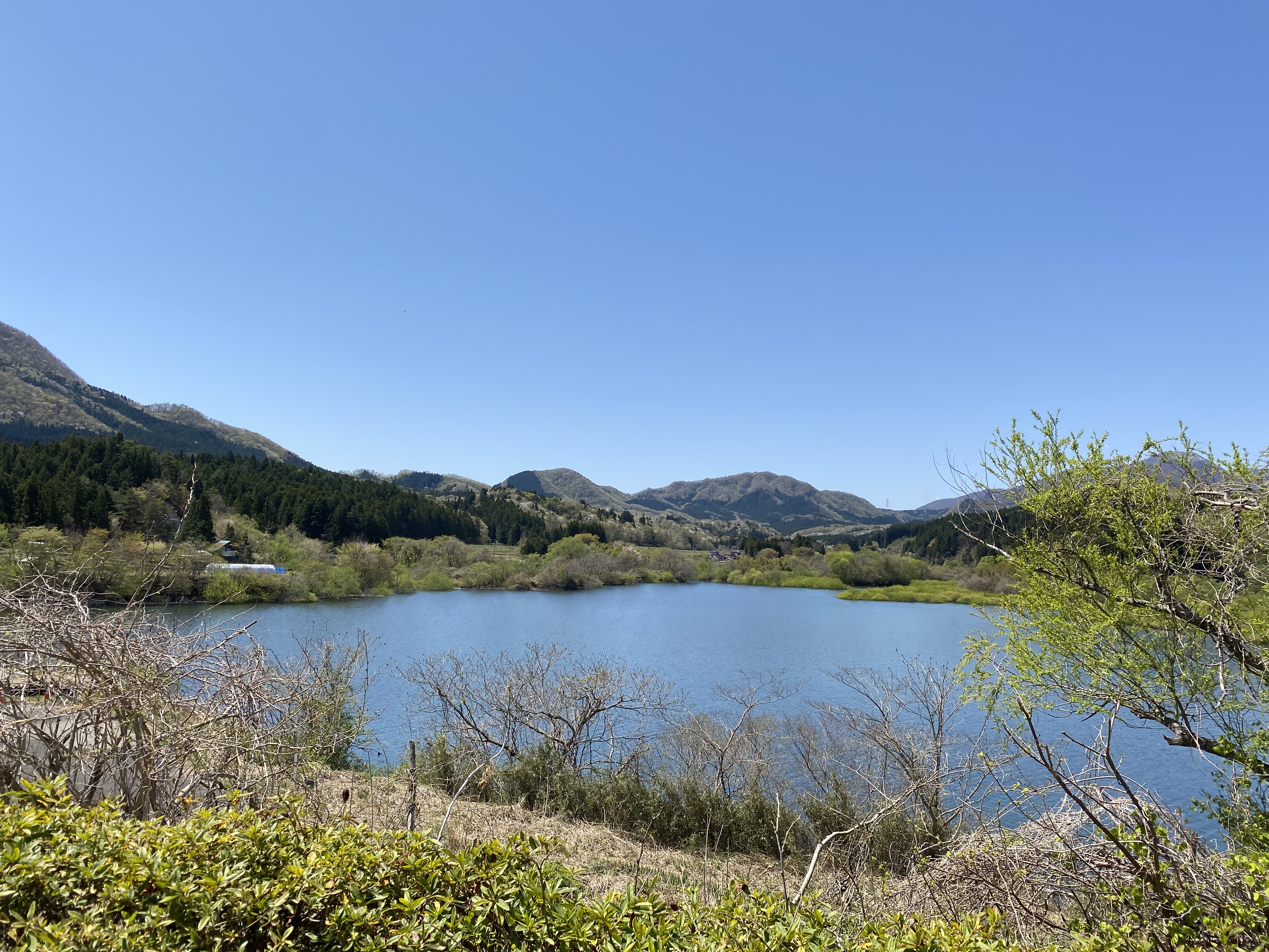 株式会社大和町地域振興公社