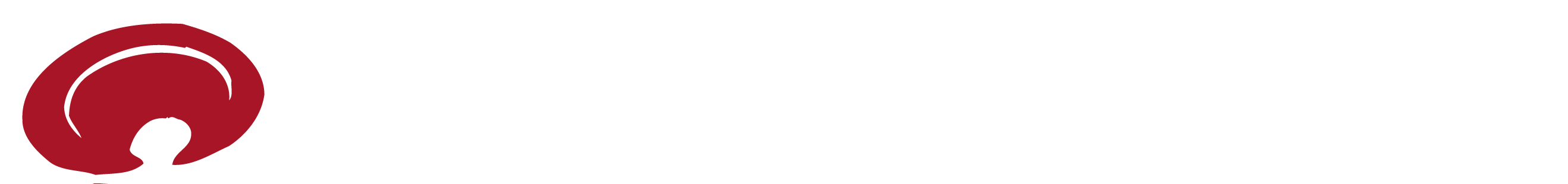 株式会社日本レイシ