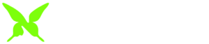 ナリオデザイン株式会社