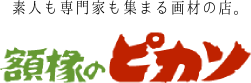 有限会社額椽のピカソ