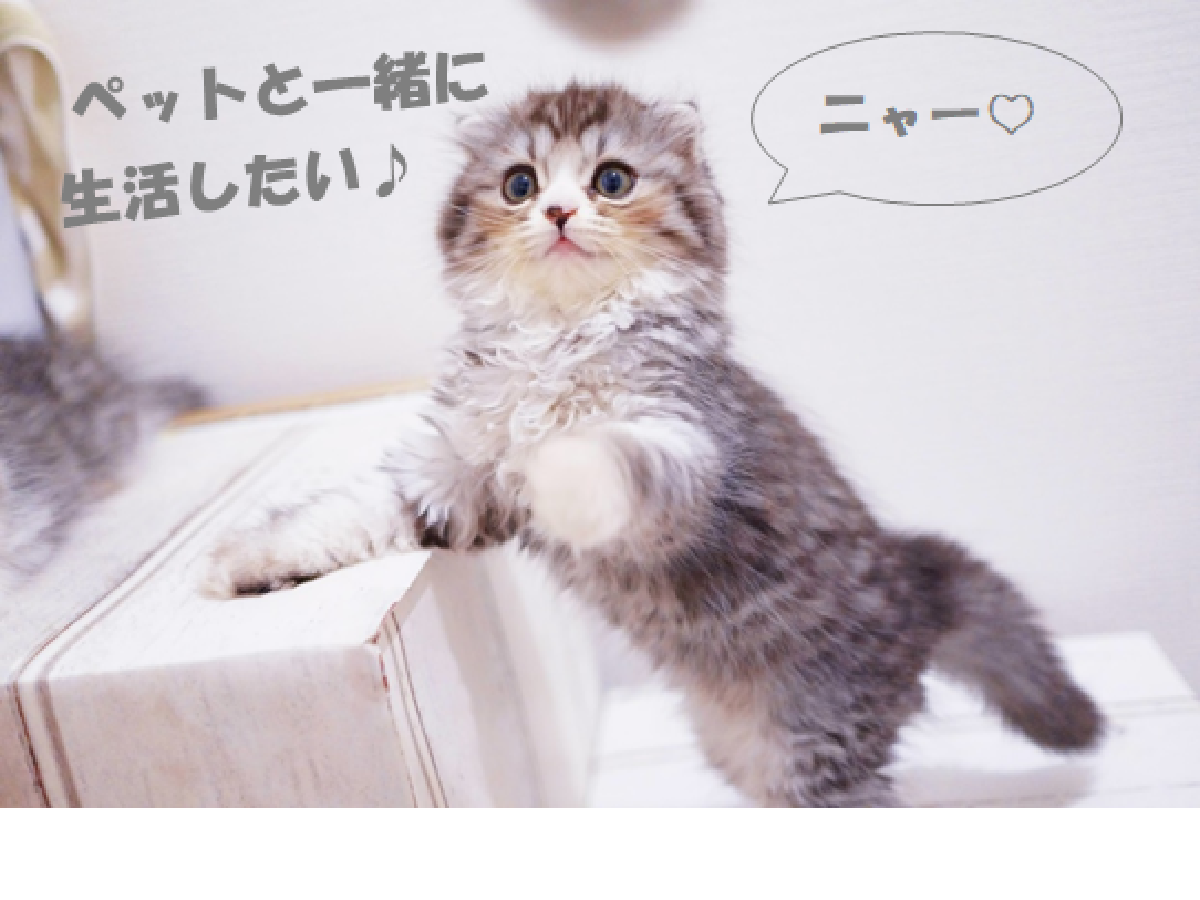 アート不動産株式会社