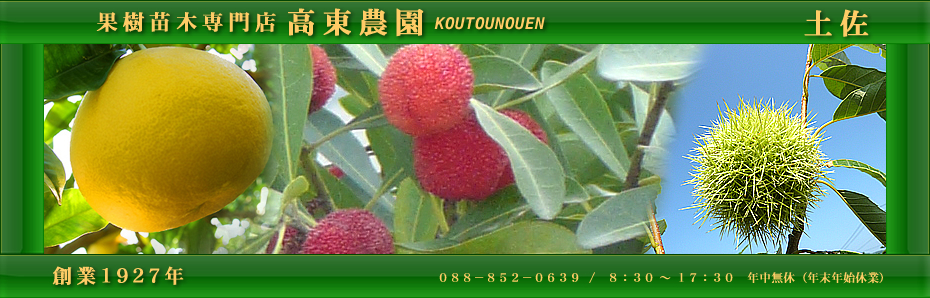 有限会社高東農園