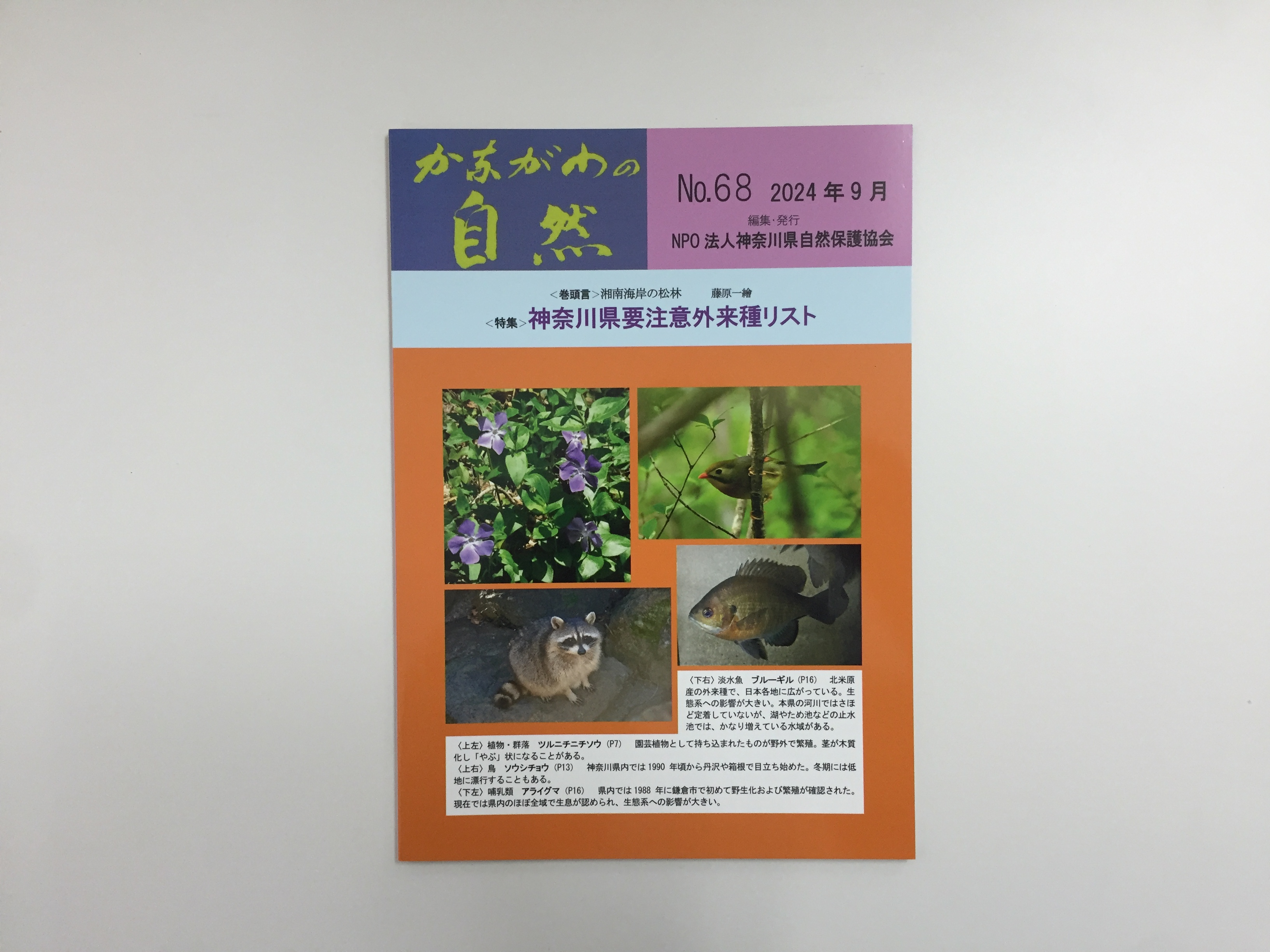 株式会社アルファ