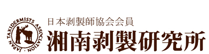 有限会社湘南剝製研究所