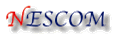 有限会社ネスコム