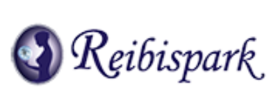 株式会社レイビスパーク