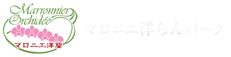 株式会社アズ