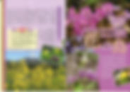 株式会社青木屋