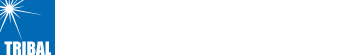 有限会社トライバル