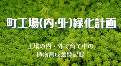 有限会社フラターテック