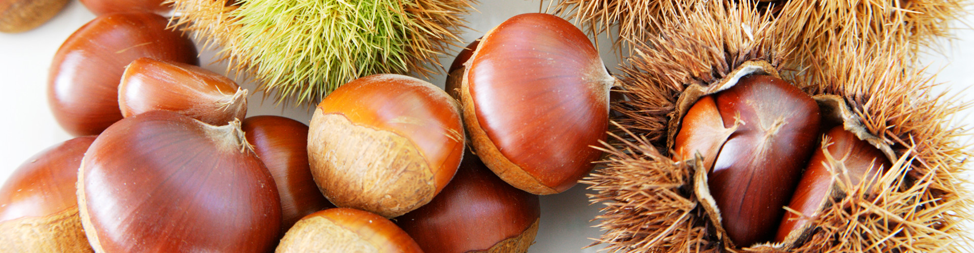 有限会社やまえ堂