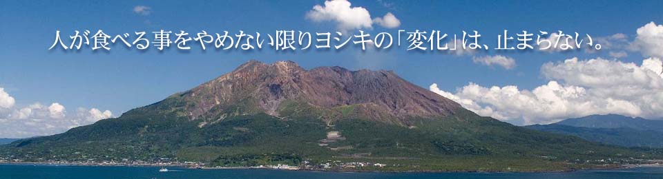 株式会社ヨシキ