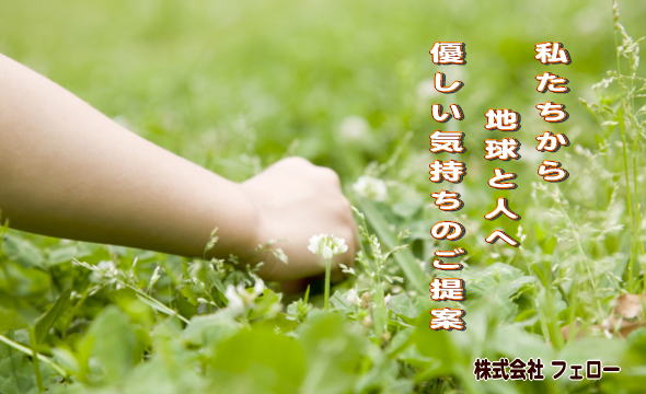 株式会社フェロー