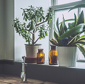 株式会社キュウコーポレーション