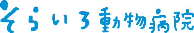 株式会社そらいろ