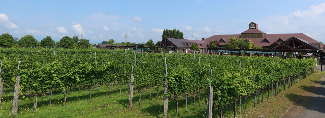 株式会社高畠ワイナリー