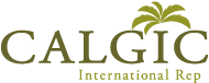 株式会社ＣＡＬＧＩＣ