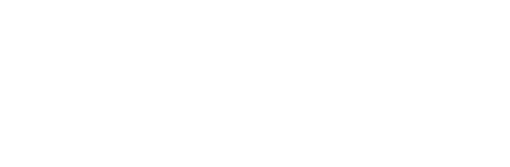 株式会社電通イノベーションパートナーズ