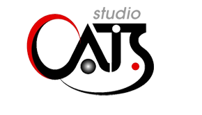 株式会社シーエーティーエス