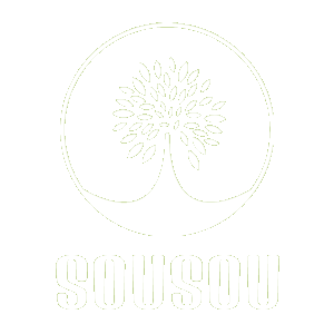 株式会社ＳＯＵＳＯＵ