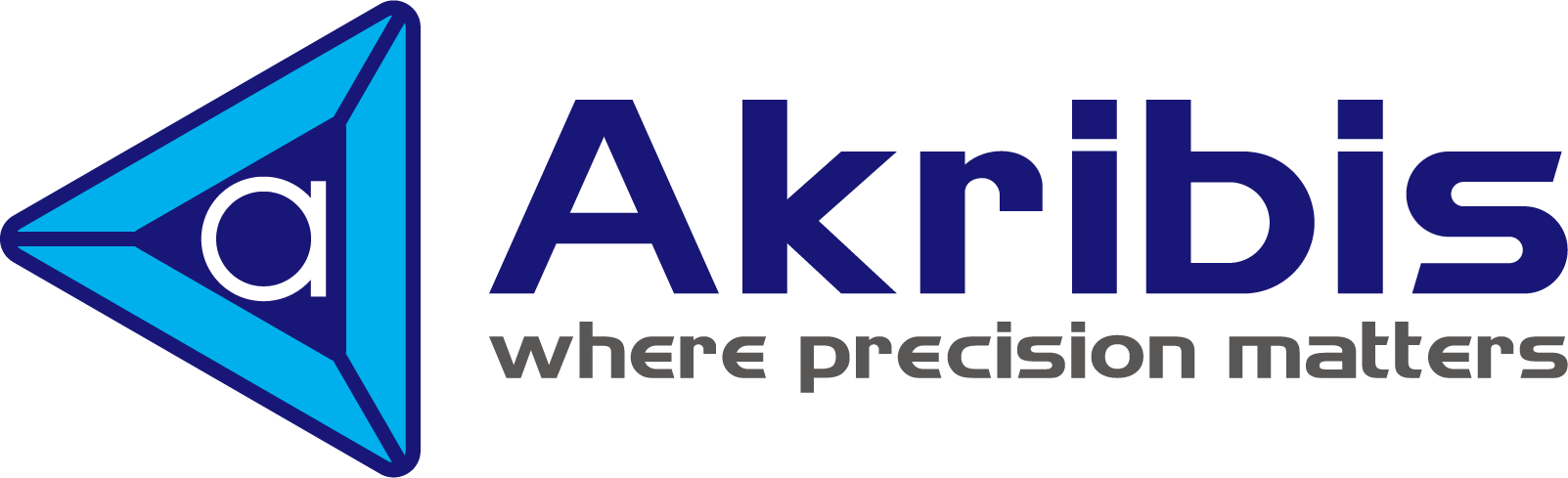 Ａｋｒｉｂｉｓ　Ｓｙｓｔｅｍｓ　Ｊａｐａｎ株式会社