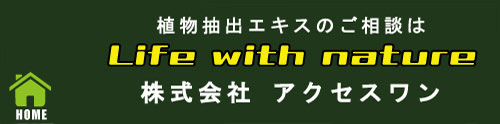 株式会社アクセスワン