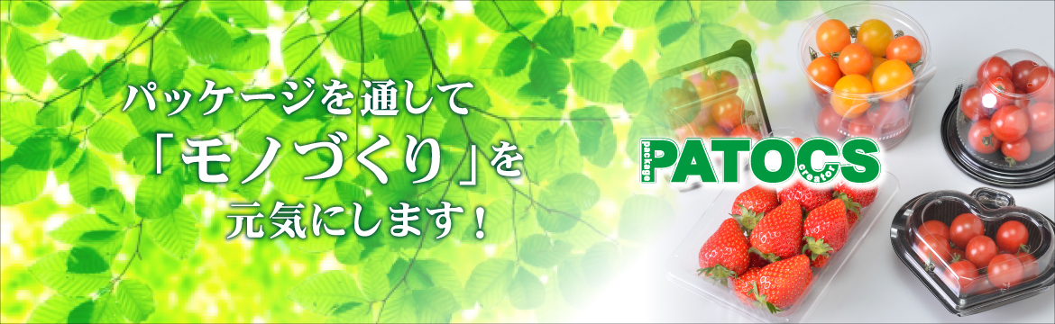 株式会社パトックス