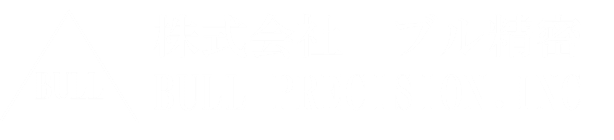 株式会社ブル精密