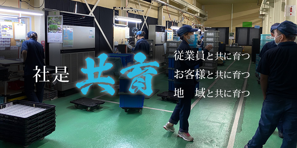株式会社Ｉ．Ｐ．Ｆ